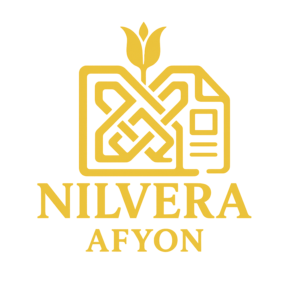 Nilvera Yazılım Logo